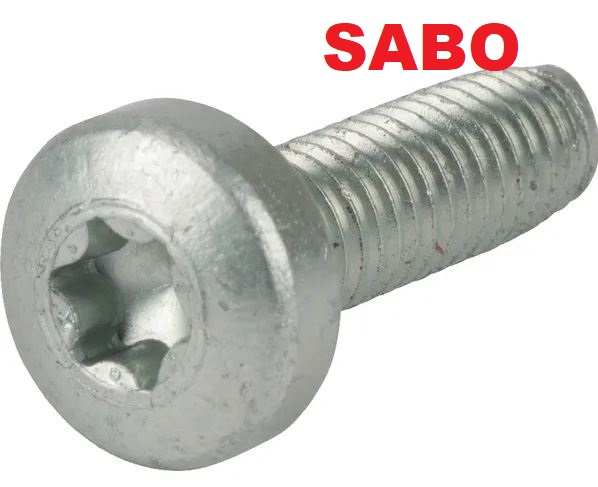 Sabo Schraube 60X20 - SA35503