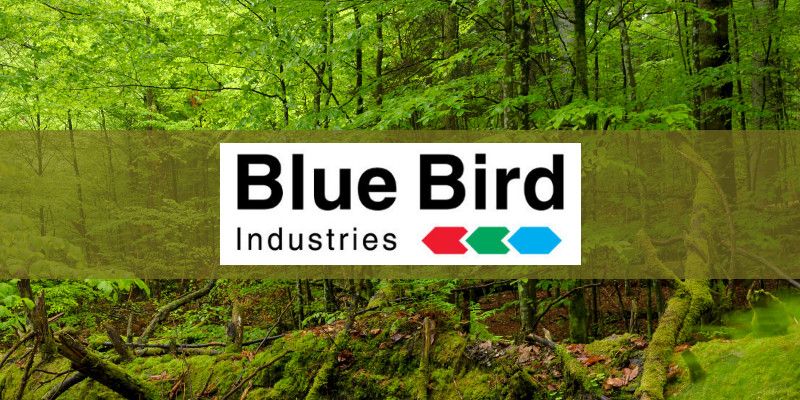 Blue Bird | Börger Motorgeräte