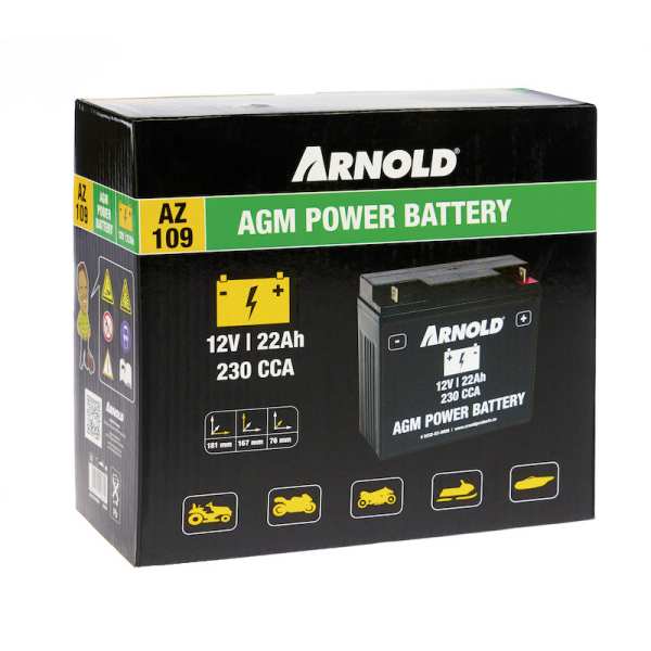 MTD Batterie AZ109 AGM 12-22A SLA