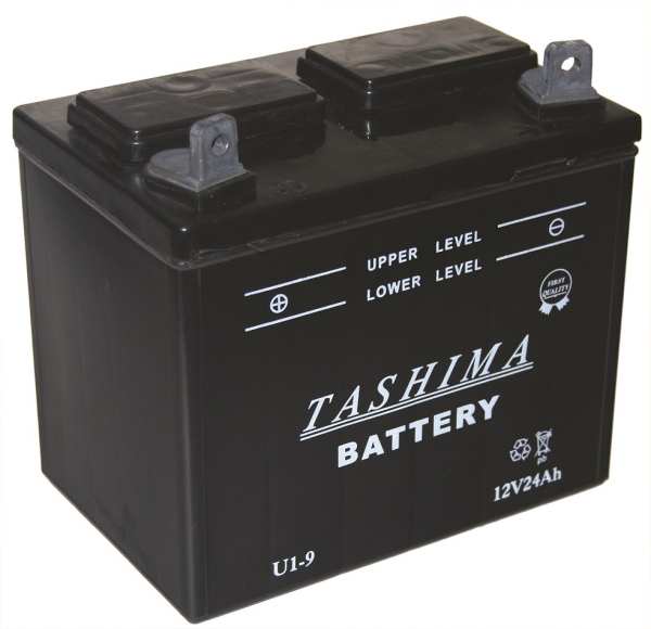 Starterbatterie 12V 24AH + LINKS